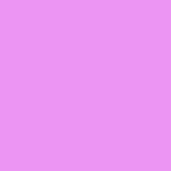 02_12_Rosa