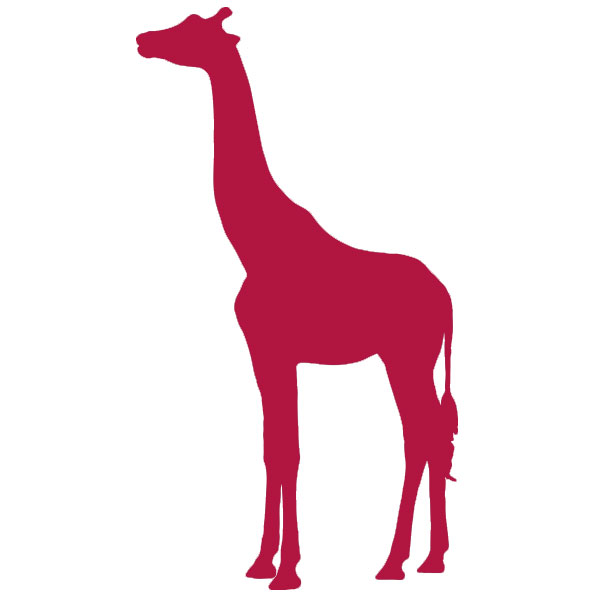 07_144 Giraffe 07_144 Giraffe