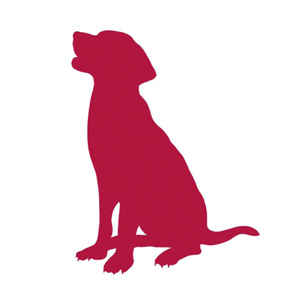 07_366Labrador 07_366Labrador