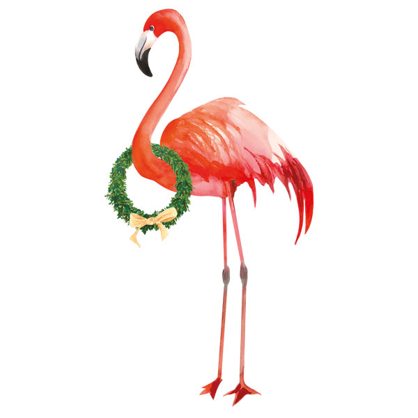 12_175Flamingo 12_175Flamingo