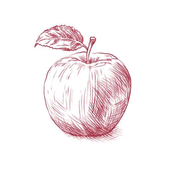 aufwaendige_Ilustration_600