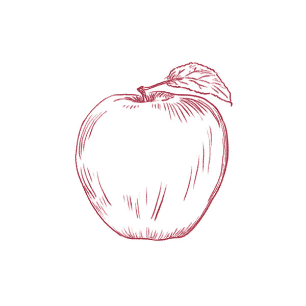 einfache_Illustration__600